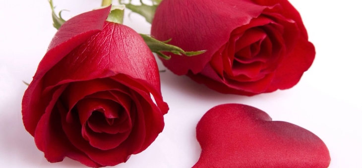 Mistakes to avoid in matrimonial bio-data